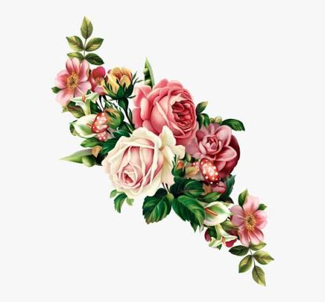 Kyle Chen Auckland, NZ Death, Obituary: Community Mourns Reported Loss